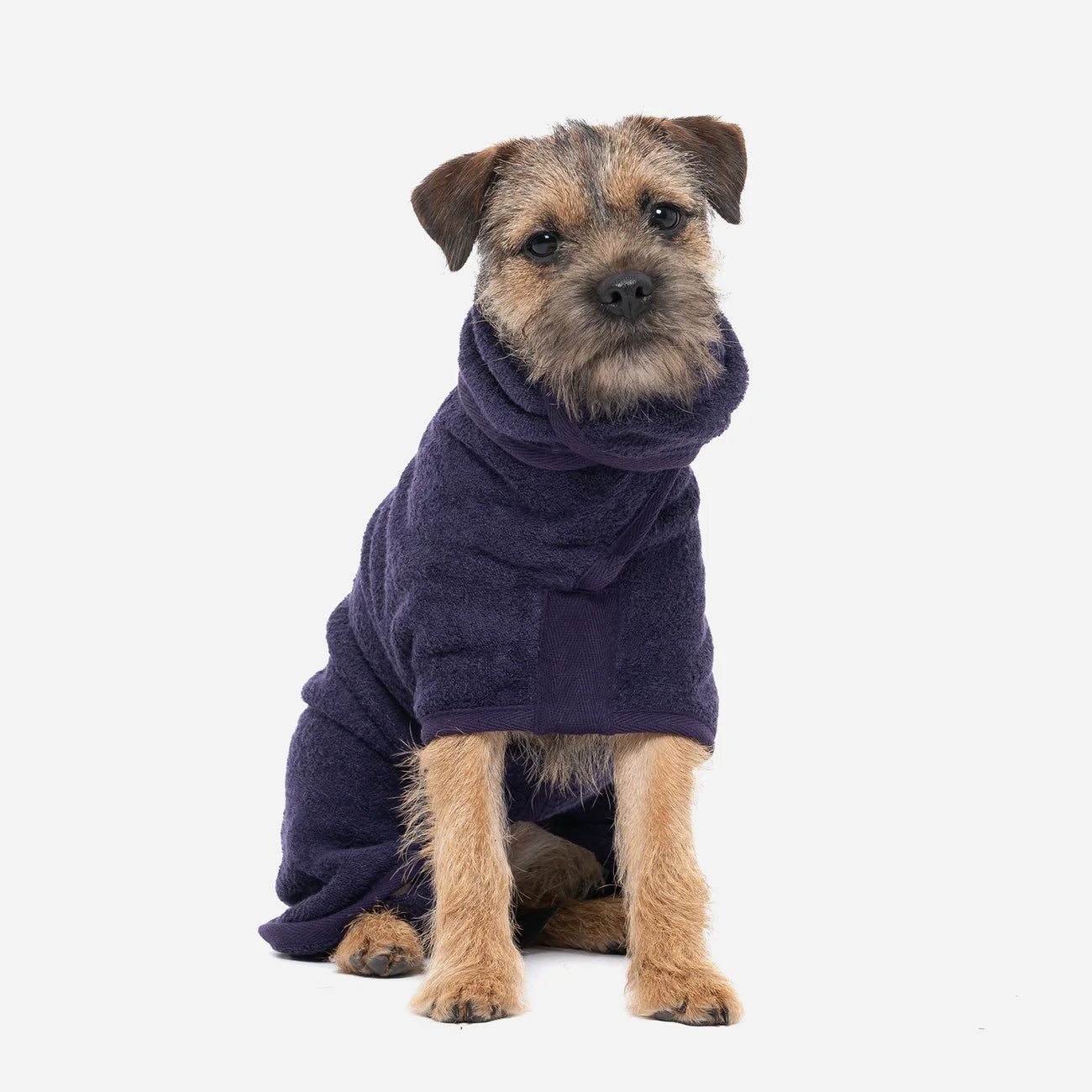 Dog drying coat Blackberry